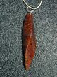 Agatized Dinosaur Bone Pendant - Brown Spiderweb #4280-2